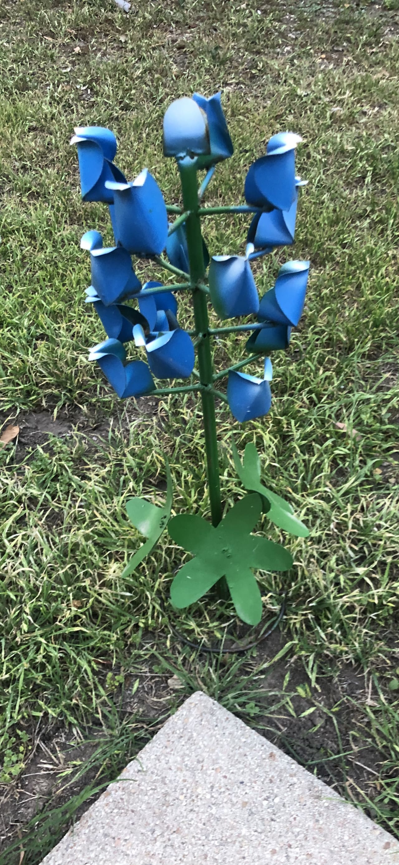 WPSL Soccer: San Antonio Blossoms v Houston TTi Bluebonnets