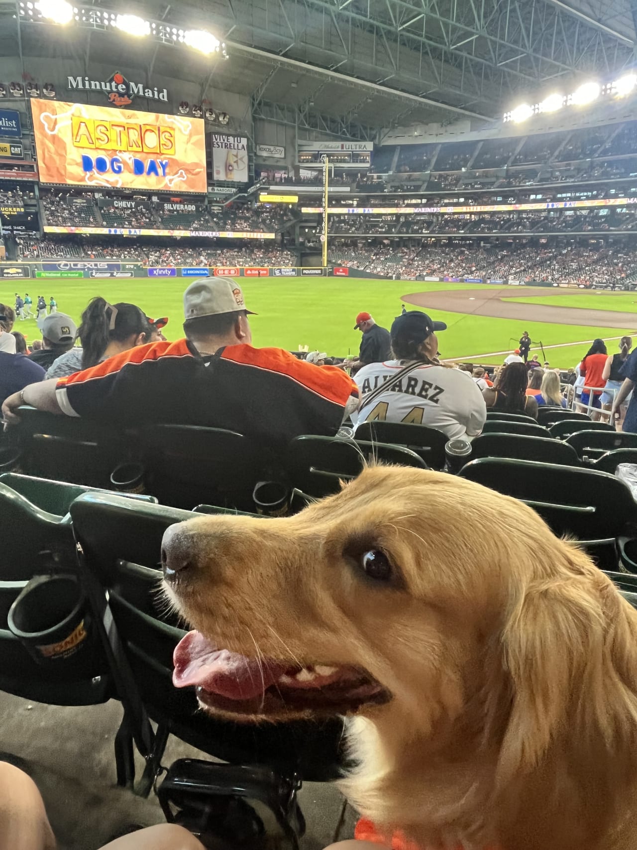 Astro's Dog Day at Minute Maid Park