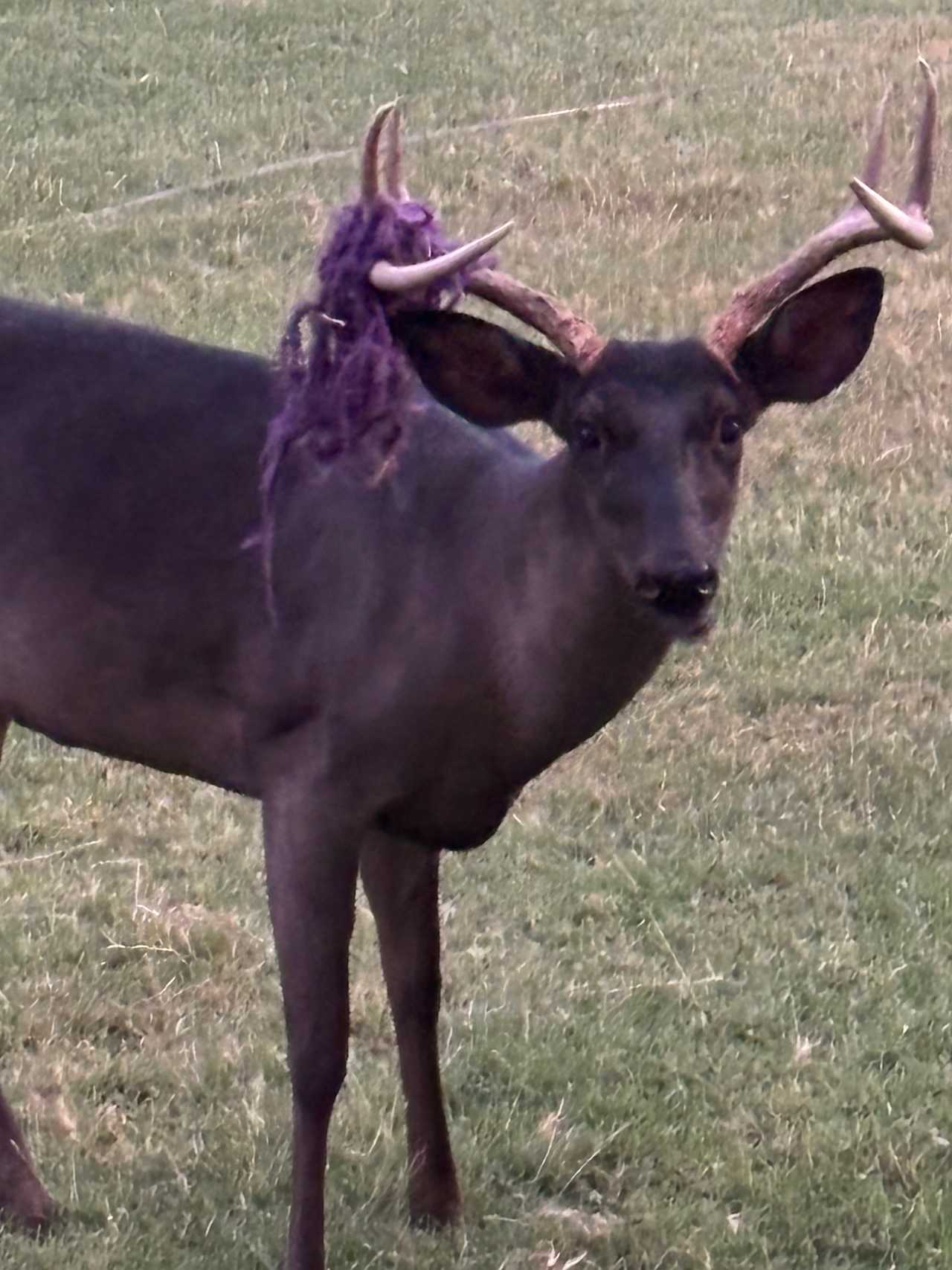 A post from in San Antonio.