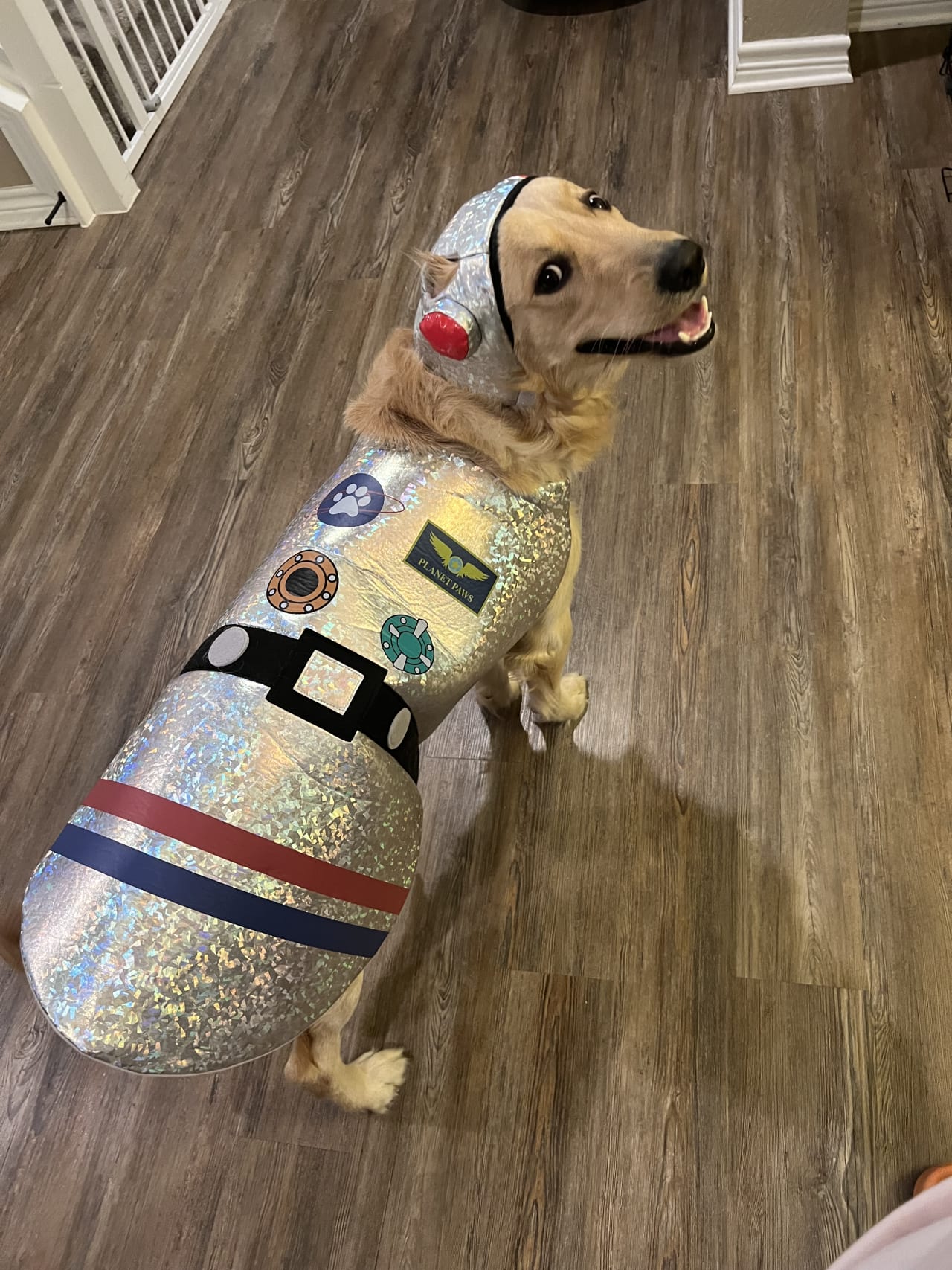 A post from Claire Barbosa in San Antonio., image size:1280x1707