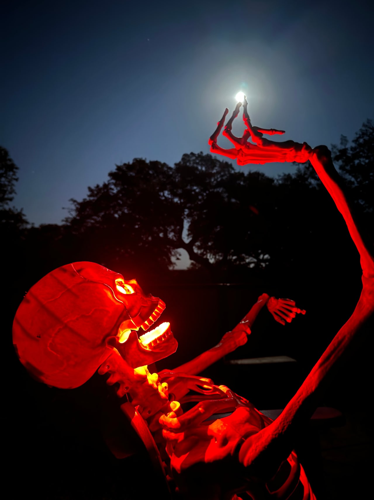 A post from Peggy McCall in Welfare.