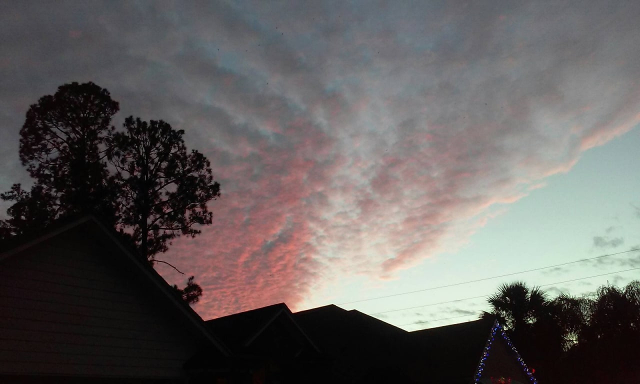 A post from in Orange Park.