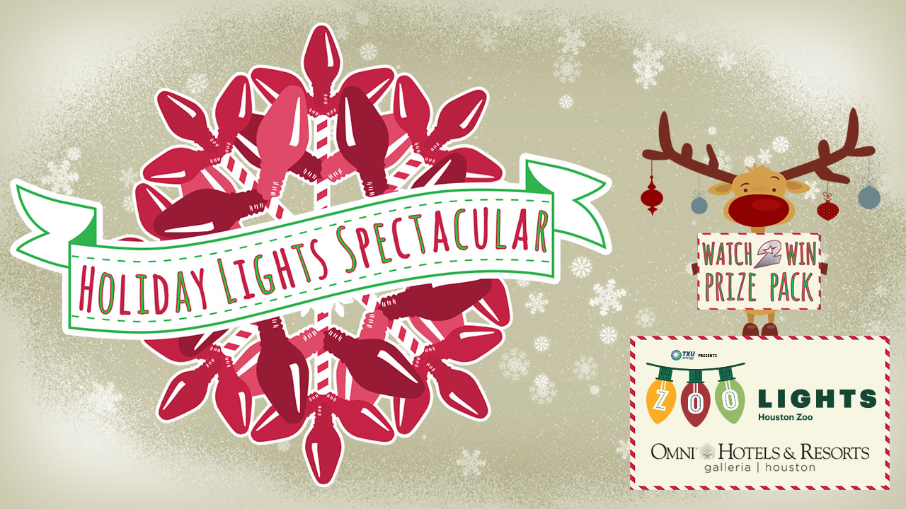 houston zoo watch2win: holiday