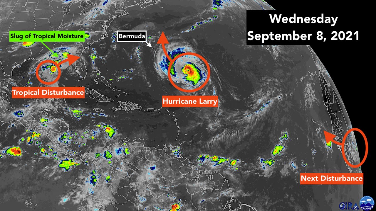 The Disturbance In The Gulf Is Getting More Organized While Large Larry Heads North