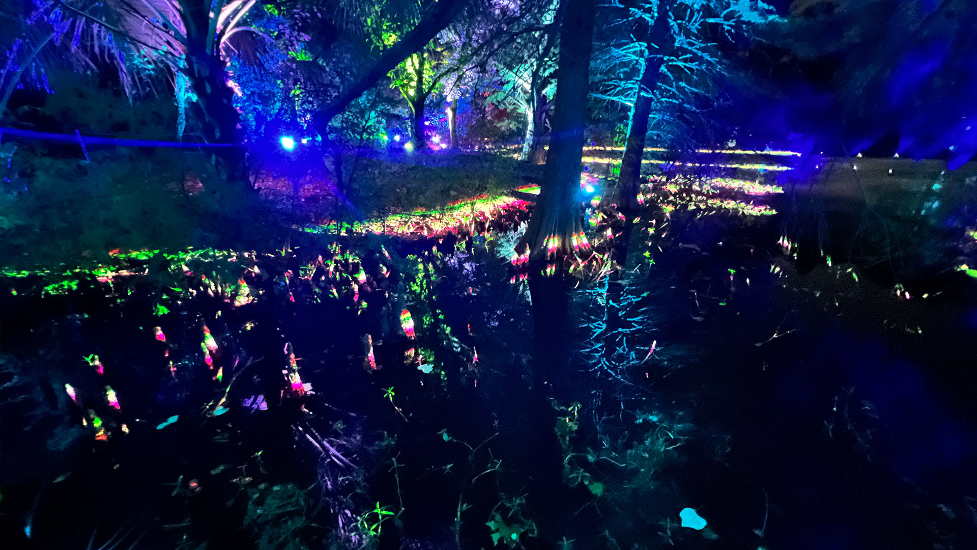 Tickets for Lightscape at the San Antonio Botanical Garden ...