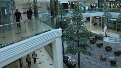 Metro Detroit Shopping: Somerset Mall