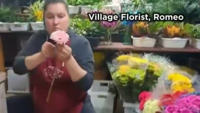Romeo Florist - Flower Delivery by The Village Florist Of Romeo