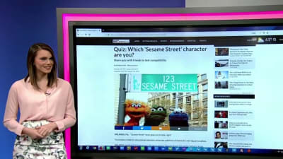 Sesame Street Character Quiz! 