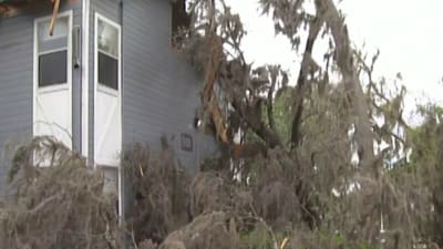 Disney's Hollywood Studios experiences flooding Monday night