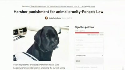 Gov Scott Signs Ponce S Law To Crack Down On Animal Abuse Gov Scott Signs Ponce S Law To Crack Down On Animal Abuse