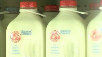 Homestead Creamery Milk in Glass Bottles