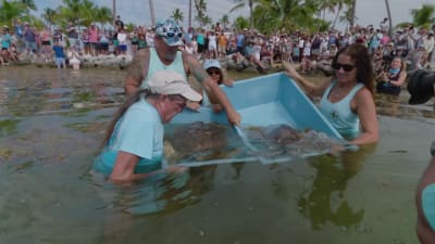 Miami Nude Beach Blowjob - Islamorada