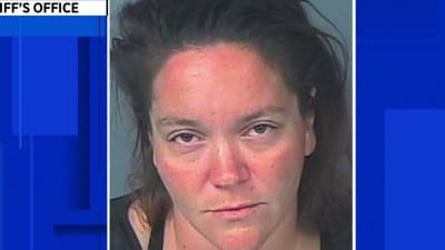 Florida woman shot dogs 173 times with BB gun when they tried digging out of yard, deputies say Florida woman shot dogs 173 times with BB gun when they tried digging out of yard, deputies say