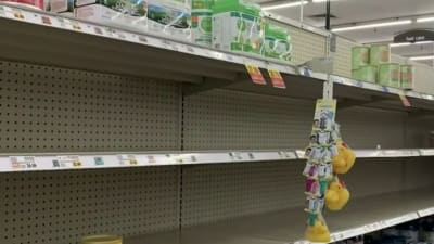 Publix similac outlet