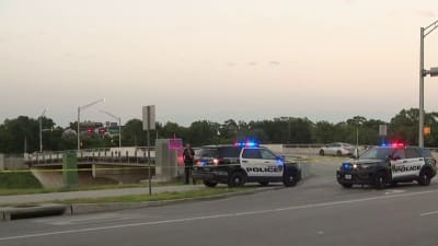 2 bodies pulled from bayous in Houston