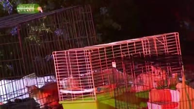 Country road rabbit cage online