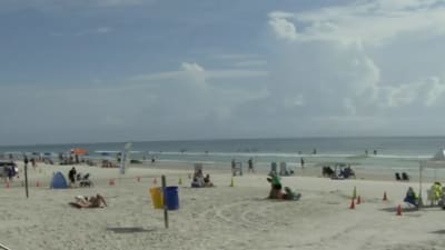 Seek Other Beaches New Smyrna Beach Reaches Capacity Seek Other Beaches New Smyrna Beach Reaches Capacity