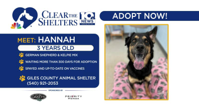 Spca clear the shelters 2019 2025