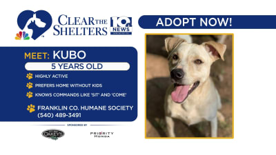 Clear The Shelters WSLS