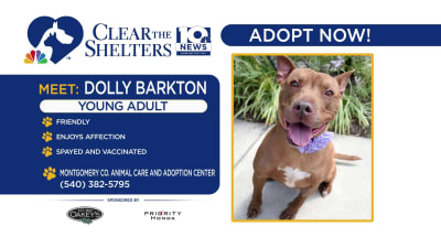 Montgomery animal care and adoption sale center