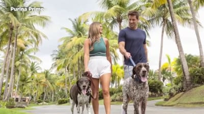 A Dog's Love Limited Edition Dog Bandana - Feeds A Shelter Dog for 30 Days