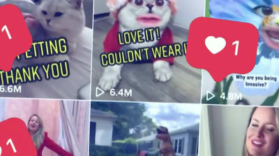 From fashion choices to funny voices: Florida designer goes viral with cat videos From fashion choices to funny voices: Florida designer goes viral with cat videos