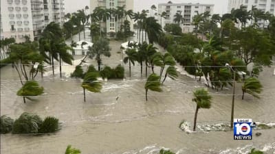 WATCH: Hurricane Ian's devastation captured in videos