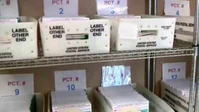 Nearly 500K voters cast election ballots early in Clark County