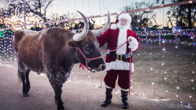 When Is The Christmas Parade In Boerne Texas 2021 Celebrate The Holidays At Old West Christmas Light Fest In Boerne When Is The Christmas Parade In Boerne Texas 2021 Celebrate The Holidays At Old West Christmas Light Fest In Boerne