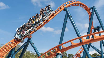 Ice Breaker Roller Coaster at SeaWorld - What to Expect