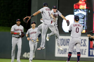 Urshela hits 2-run HR in 10th, Twins rally past Tigers 5-3