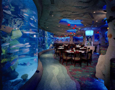 Dine 'under the sea' at this unique Texas restaurant