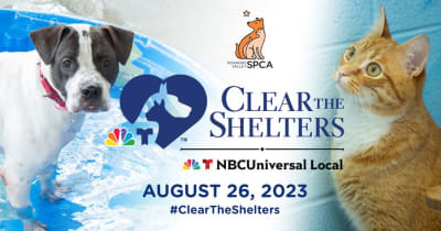 Spca clear the shelters best sale