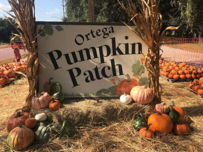 columbia station pumpkin patch