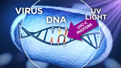 Can UV light kill viruses?