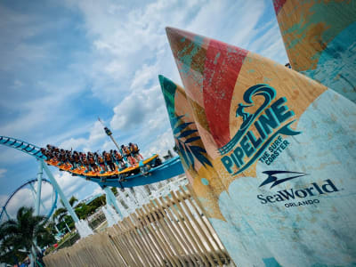 SeaWorld Orlando hosts coaster challenge to celebrate National Roller  Coaster Day, Orlando