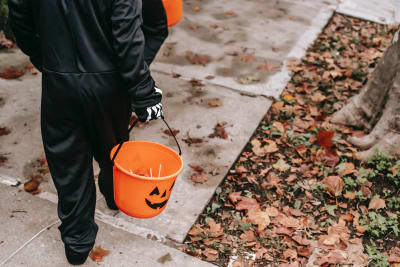 With rule changes about yard signs, here's how to check your trick