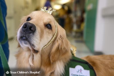 PHOTOS: Facility dogs show Astros spirit at Children's Memorial Hermann  Hospital