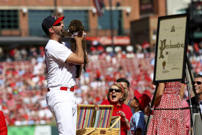 Cardinals reliever Gallegos gets wiped down by umpire after using