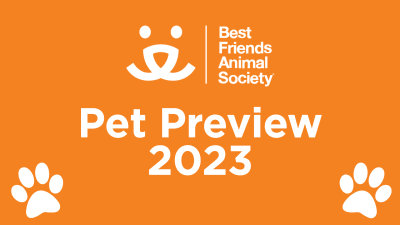 Best friends animal shelter sales