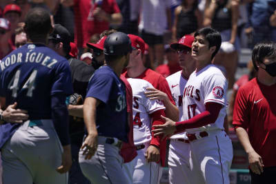 Los Angeles Angels' Rendon suspended five games for fan altercation