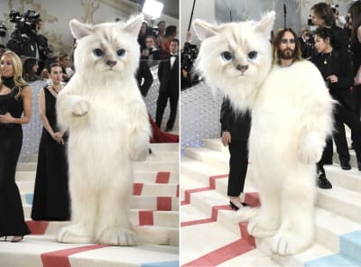 Karl Lagerfeld's cat Choupette isn't a party animal, Karl Lagerfeld