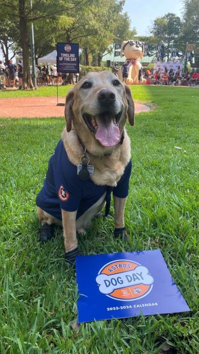 Pets love the Stros! Send photos of your fur baby supporting the Astros  through Click2Pins