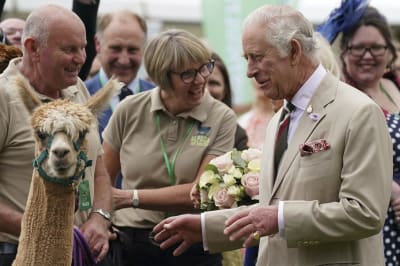 British royals sprinkle star power on a grateful French town with  up-and-down ties to royalty