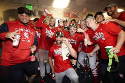 Funny st louis cardinals nl central ion champions postseason 2019