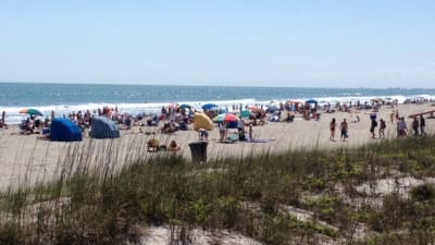 Record Number Of Tourists Flocking To Florida