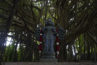 Kauai teacher heading to USA Yoga national championships - The Garden Island