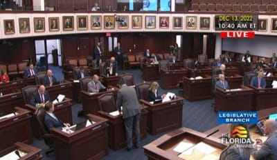 Cámara de Representantes de Florida debate legislación de de propiedad