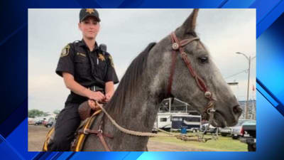 Woman arrested, charged with murder in connection with Monroe County Animal Control officer killed in crash Woman arrested, charged with murder in connection with Monroe County Animal Control officer killed in crash