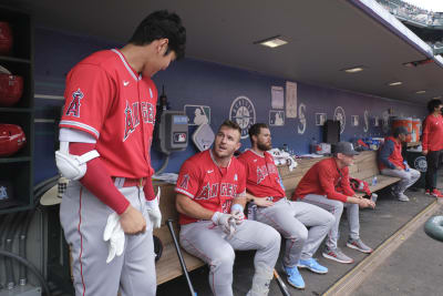 mike trout bench press